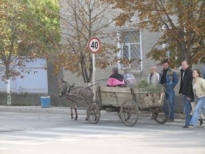 Sonraki yazı: